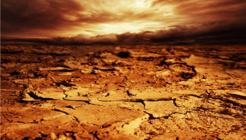 Ecological collapse and extinction
